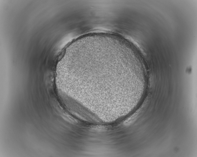 X0000089961355200707201939