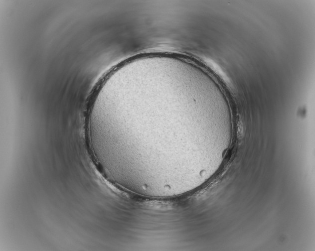 X0000089961356200707201939