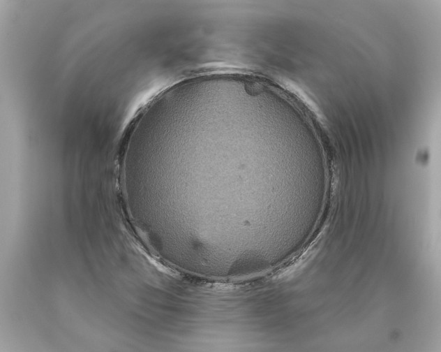 X0000089961357200707201939