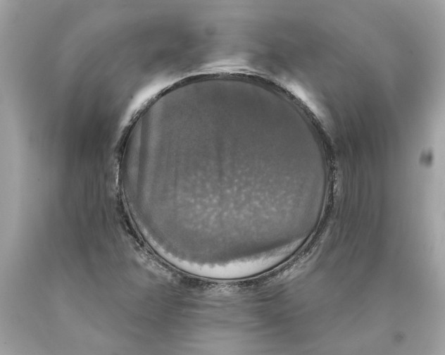 X0000089961358200707201939