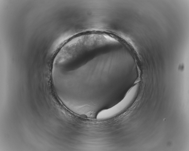 X0000089961359200707201939