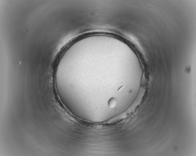 X0000089961360200707201939