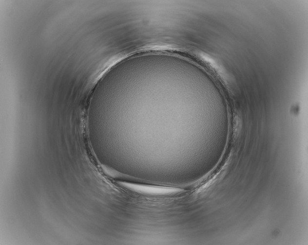 X0000089961361200707201938