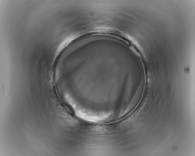 X0000089961362200707201938