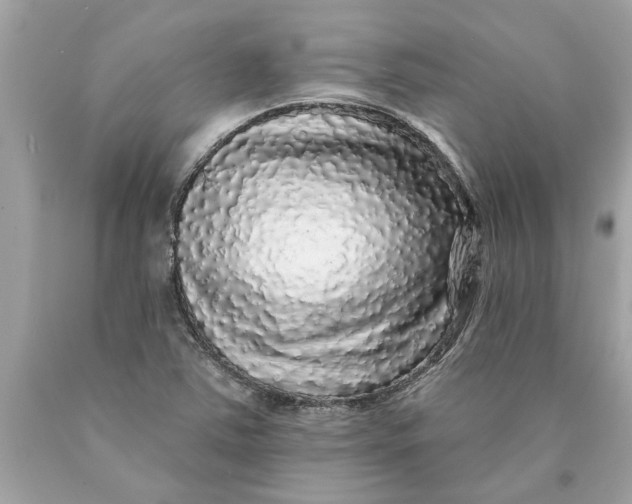 X0000089961363200707201938