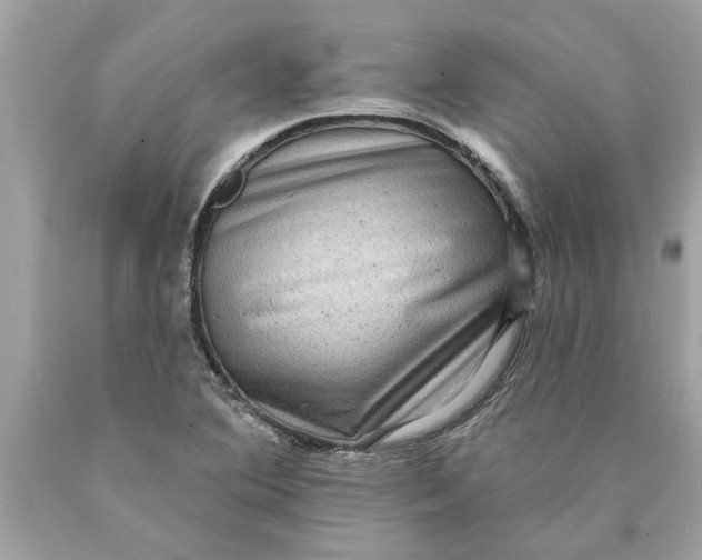 X0000089961364200707201938