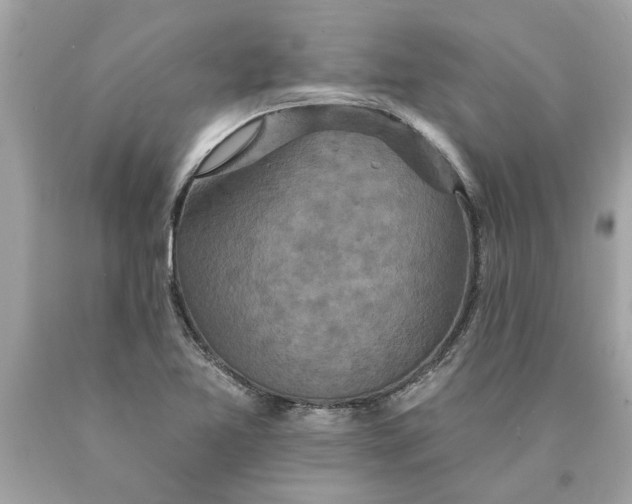 X0000089961365200707201938