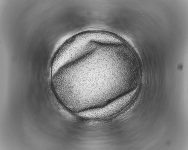 X0000089961366200707201938