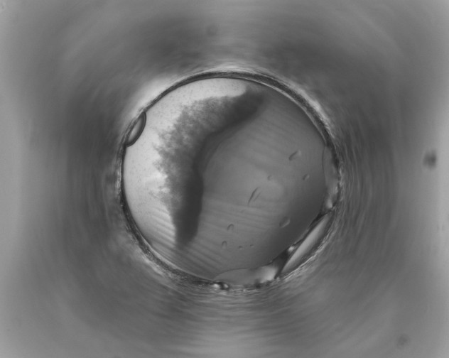 X0000089961367200707201938