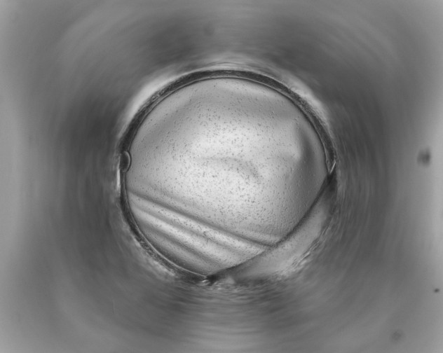 X0000089961368200707201938