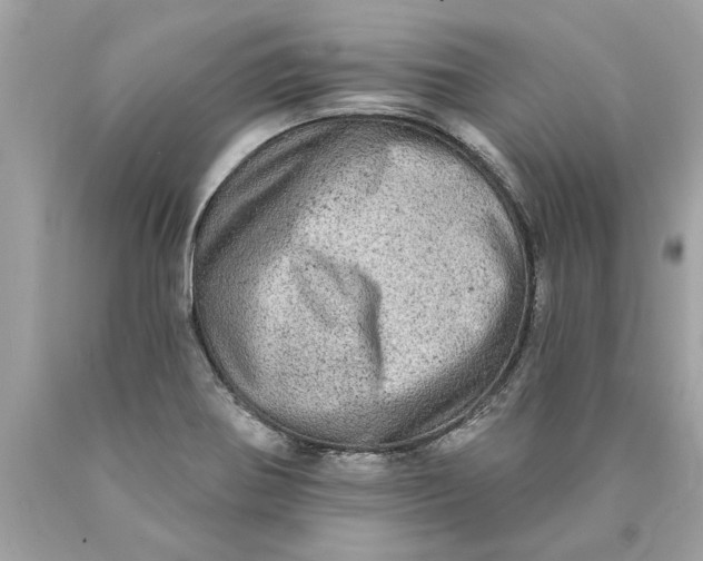 X0000089961370200707201938