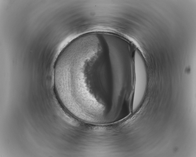 X0000089961371200707201938