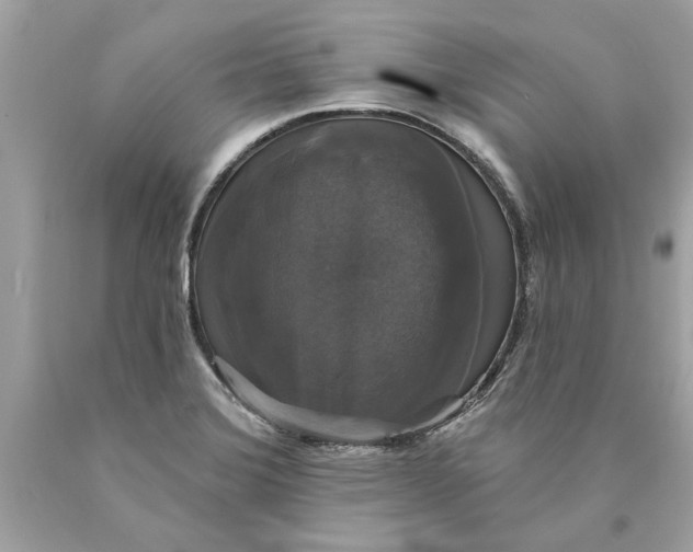 X0000089961372200707201938