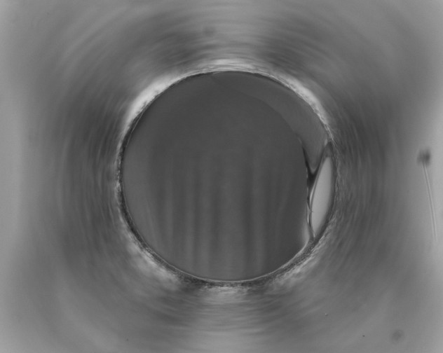 X0000089961373200707201938