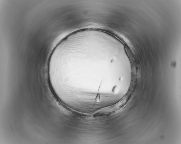 X0000089961375200707201938