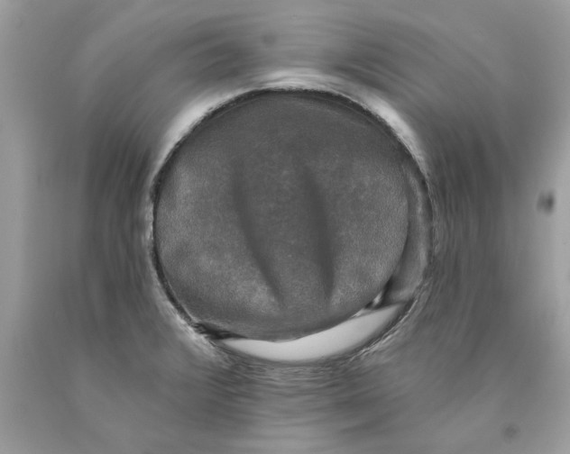 X0000089961376200707201938