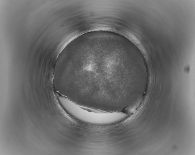 X0000089961377200707201938