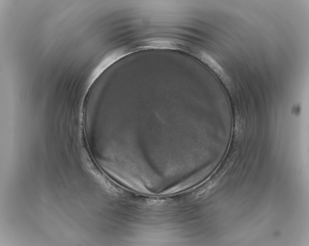 X0000089961378200707201938