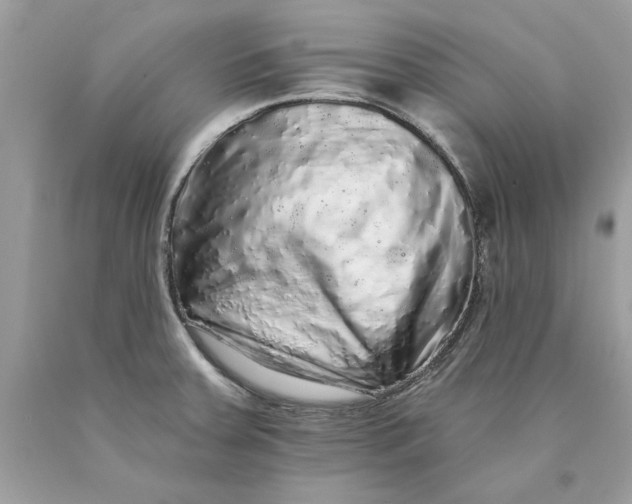 X0000089961379200707201938