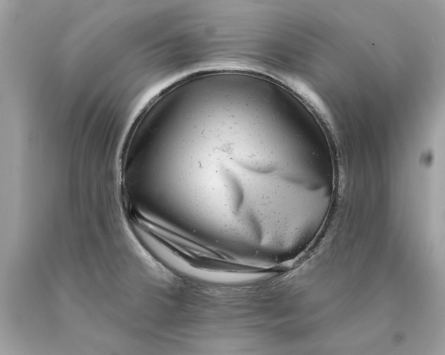 X0000089961380200707201938