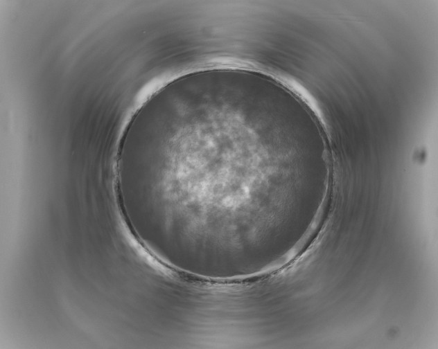 X0000089961381200707201938