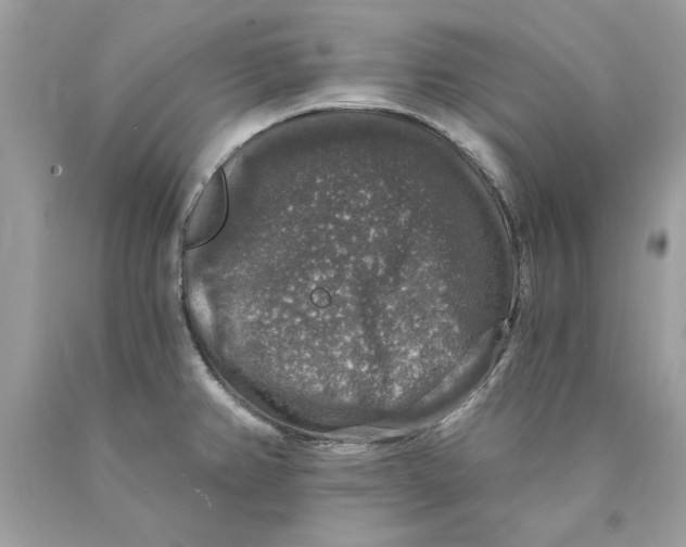 X0000089961382200707201938