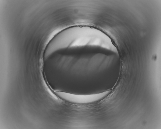 X0000089961383200707201938