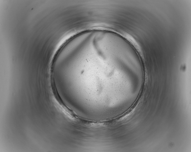 X0000089961384200707201938