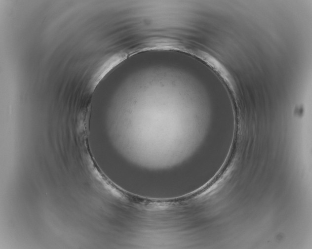 X0000089961385200707201938