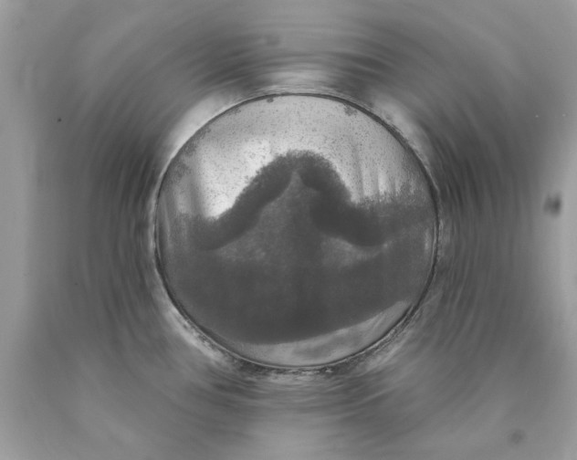 X0000089961386200707201938