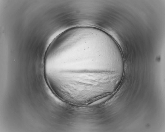 X0000089961387200707201938