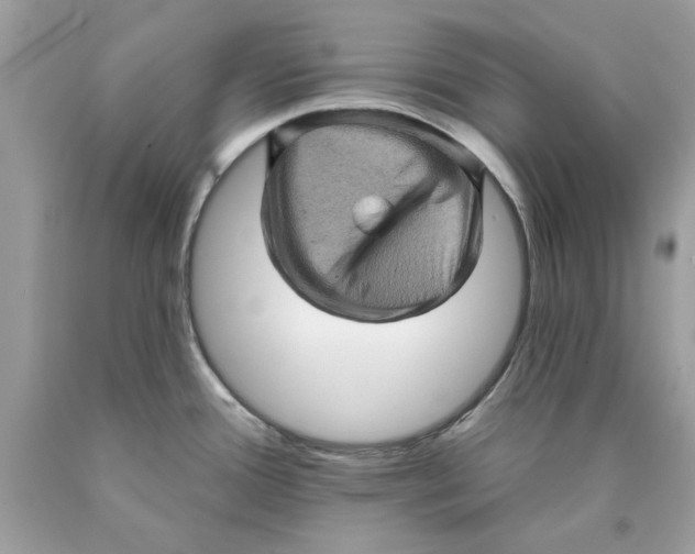 X0000089961388200707201938