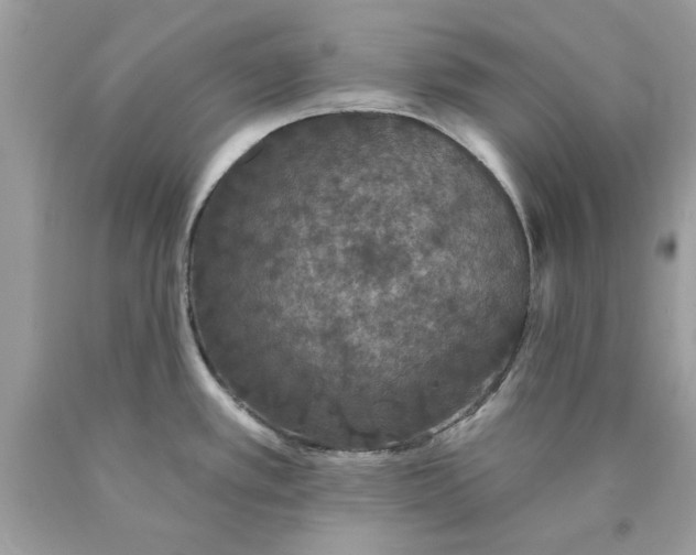 X0000089961389200707201938