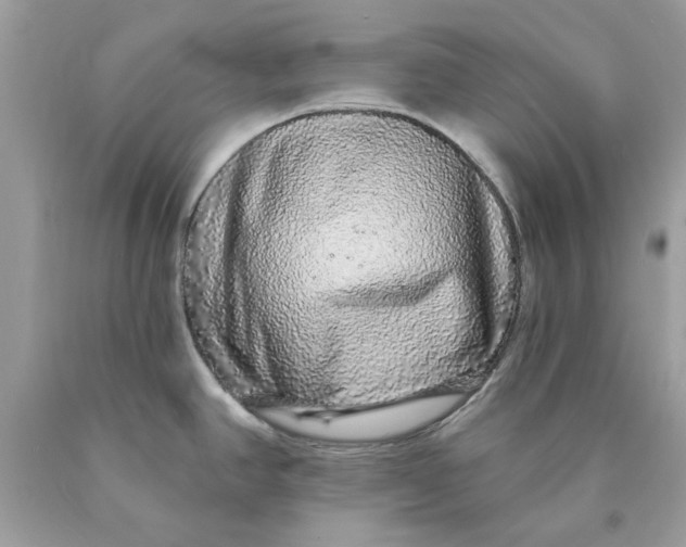 X0000089961390200707201938