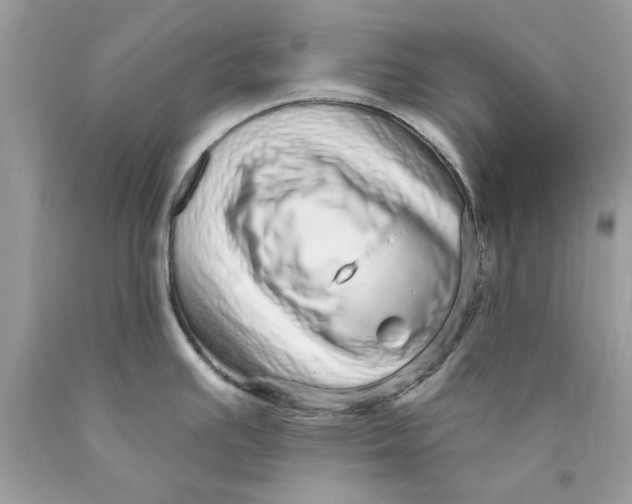 X0000089961391200707201938