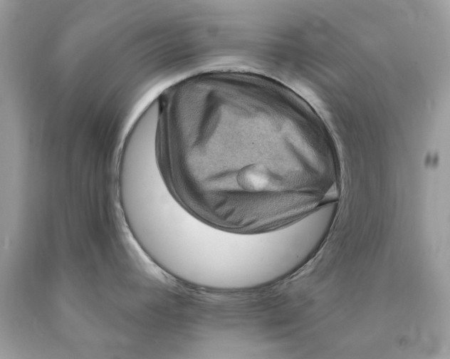 X0000089961392200707201938