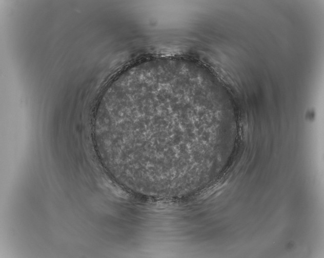 X0000089961393200707201937