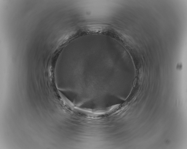 X0000089961394200707201937