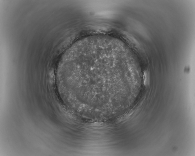 X0000089961395200707201937