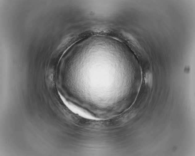 X0000089961396200707201937