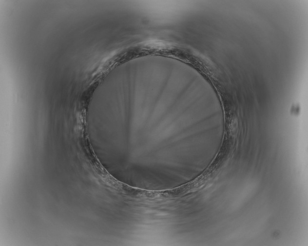 X0000089961397200707201937