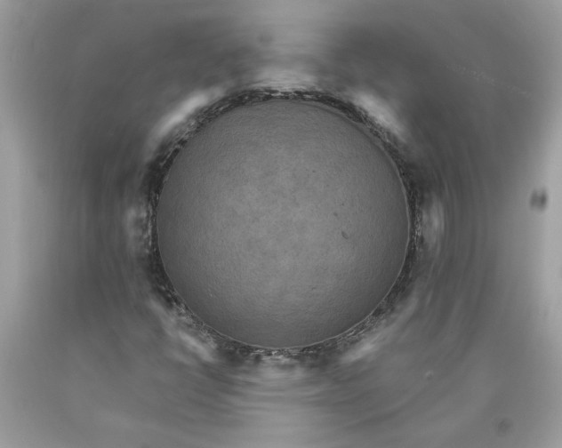 X0000089961398200707201937