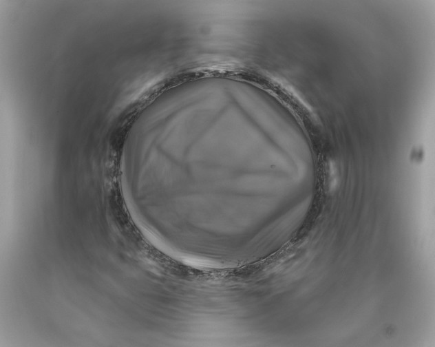 X0000089961399200707201937