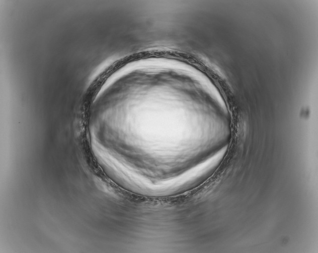 X0000089961400200707201937