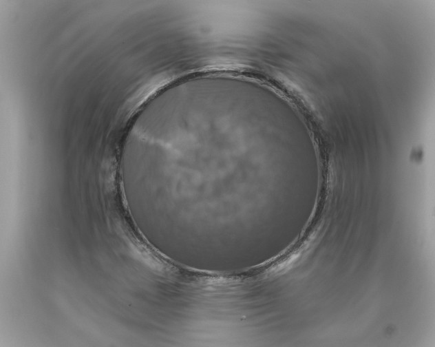 X0000089961401200707201938