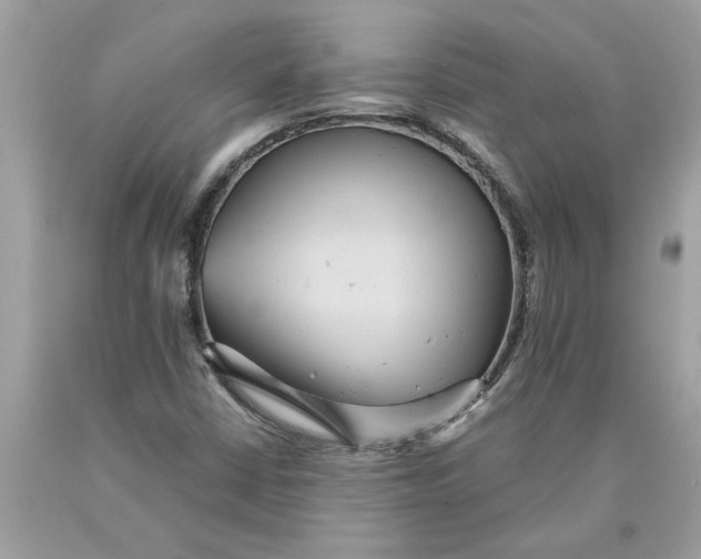 X0000089961402200707201938