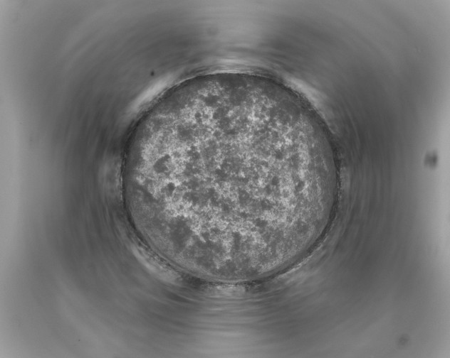 X0000089961403200707201938