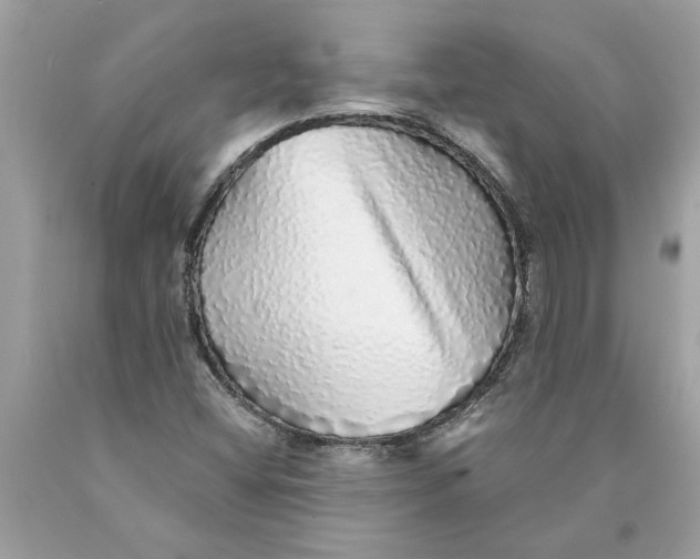 X0000089961404200707201938