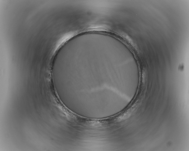 X0000089961405200707201938