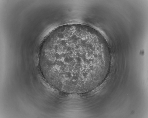 X0000089961407200707201938